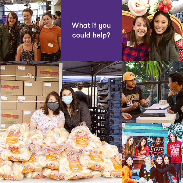 Purple paladin foster nation montage 4