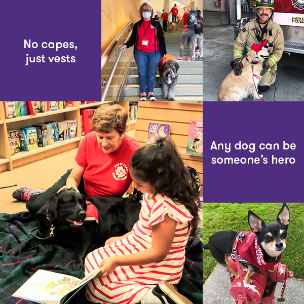 Purple paladin Find your anchor 2