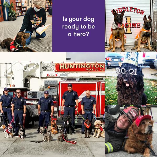 Purple paladin Find your anchor montage 4